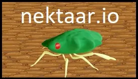 nektaar.io